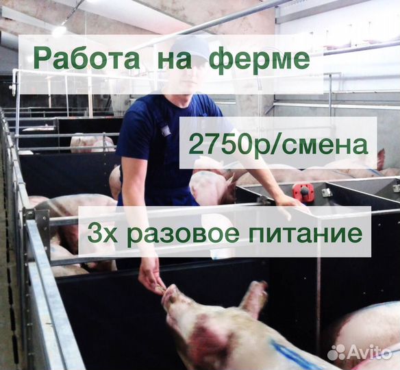 Работа вахта с проживанием и питанием