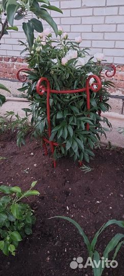 Опора,подставка для Пионов,Георгинов,Арки,шпалеры
