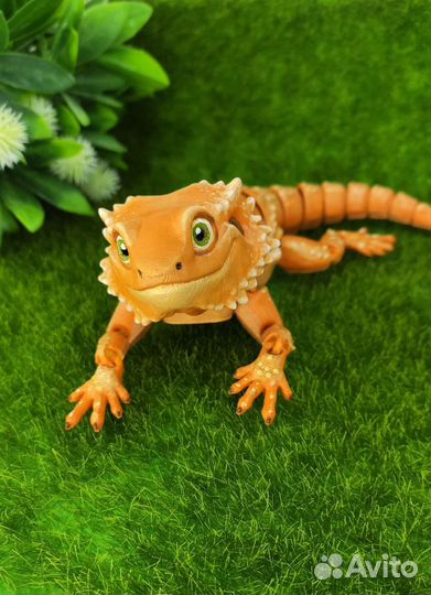 Ящерица шарнирная