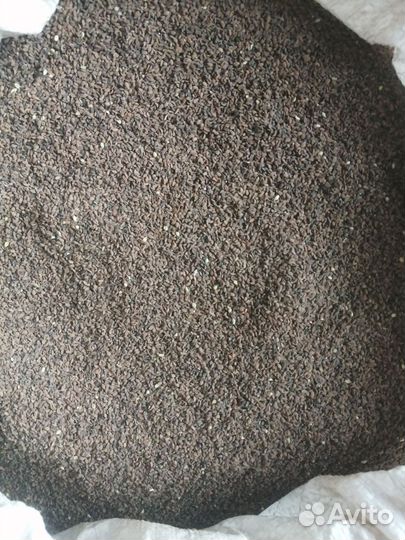 Семена фацелии