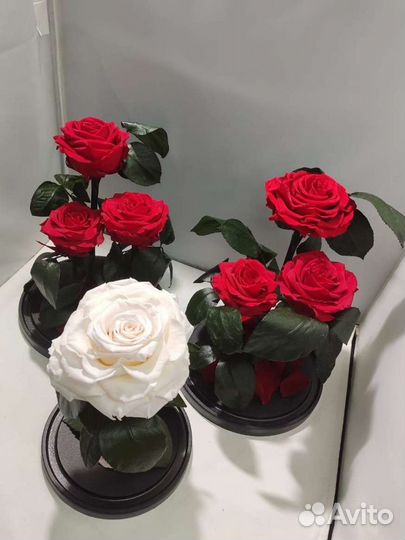 Роза в колбе