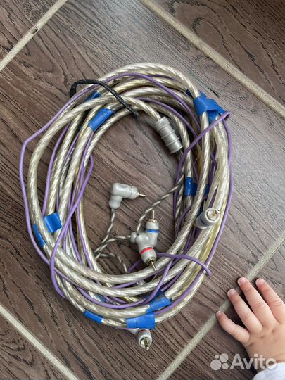 Тюльпаны акустические