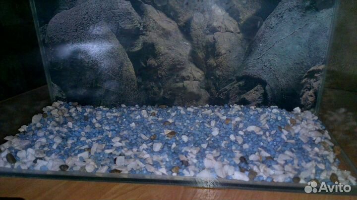 Аквариум+фильтр+начинка+сачок