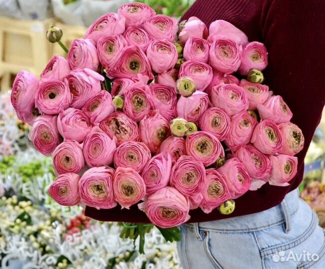 Ранункулюс доставка цветов