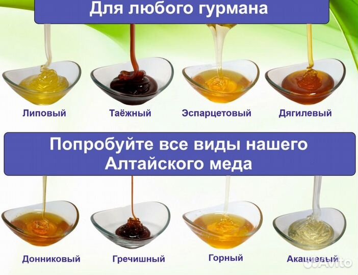 Алтайский мед 2023 г (оптом)