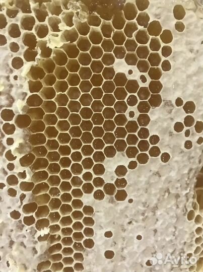 Мед свежий 2023