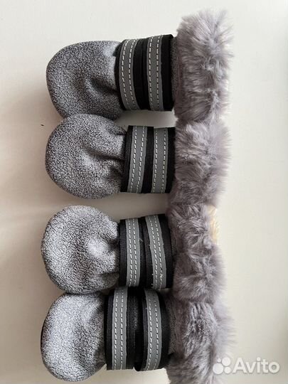 Обувь для маленьких собак