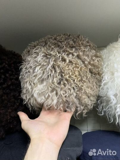 Папахи Кавказские, Папахи Хабиба