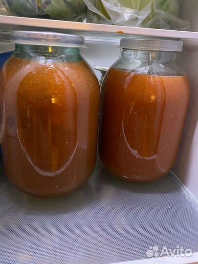 Чайный гриб, комбуча,винный гриб,индийский рис