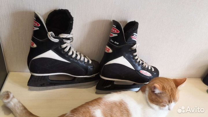 Коньки хоккейные Botaz