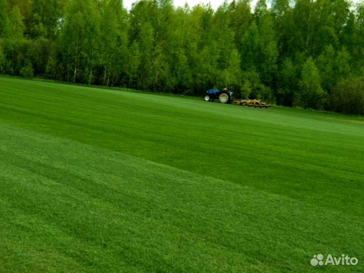 Рулонный газон от производителя