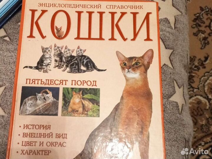 Энциклопедия кошек