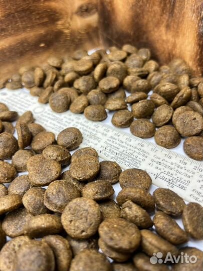 Корм для собак