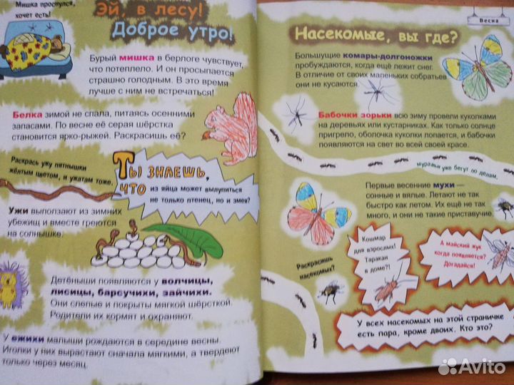 Ромодины Почему ветер дует