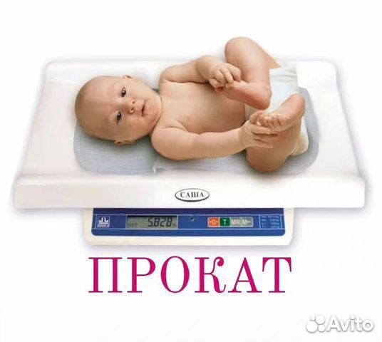 Детские весы для новорожденных аренда