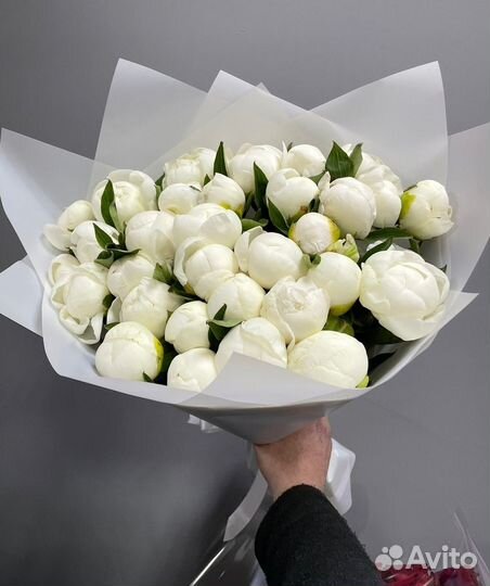 Цветы пионы Розы Букеты 51 101 Роза