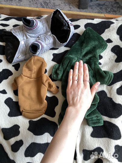 Вещи для животных