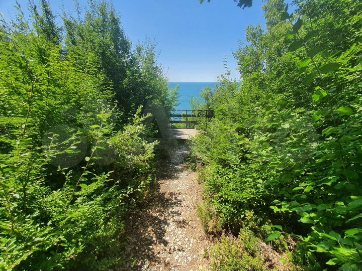 Участок 1,5 га (СНТ, ДНП)