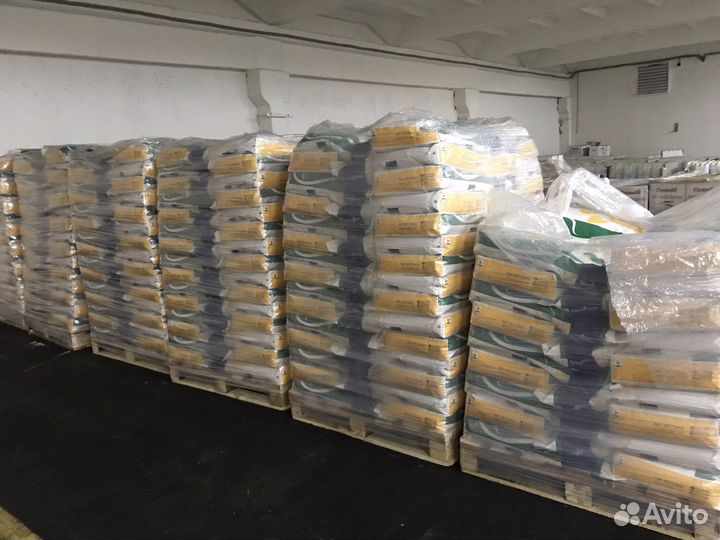 Семена подсолнечника, кукурузы (Сингента) и сзр