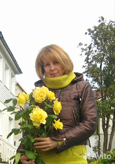 Уборка квартир и домов, глажка.Услуга домработницы