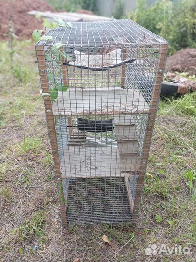 Клетка для шиншиллы