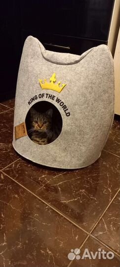 Домик для животных