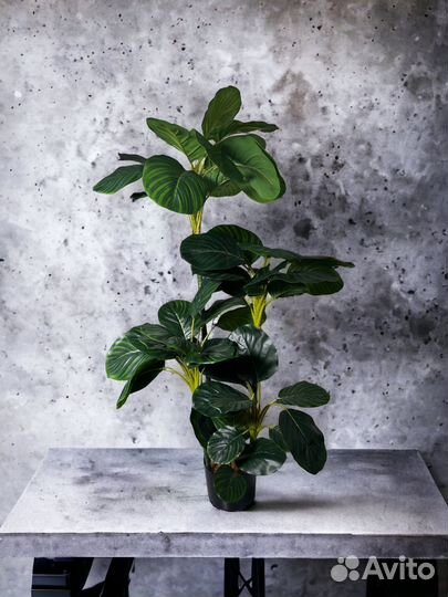 Аренда искусственных растений (деревья, цветы)