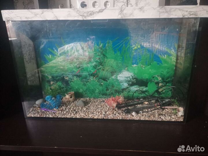 Аквариум