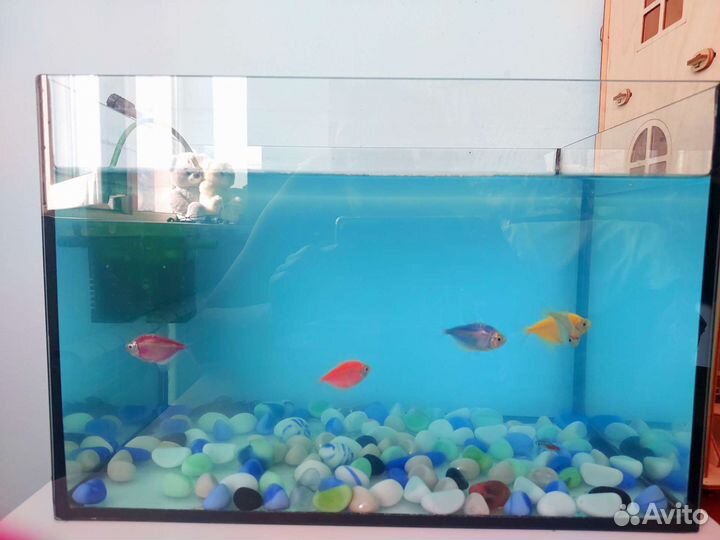 Аквариум