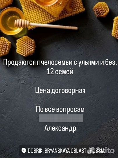 Пчелы