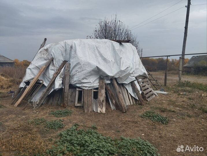 Продам зерно смесь Готовое сено Козла пламенного