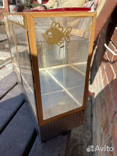 Чемодан с аквариумом