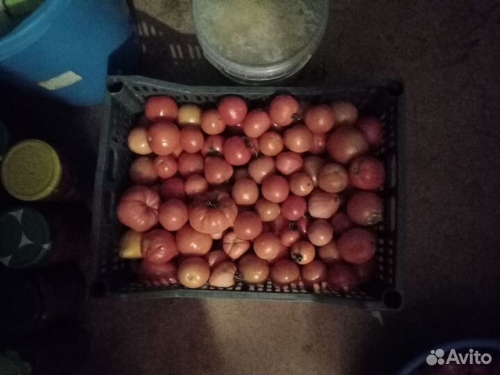 Помидоры огурцы и многое другое