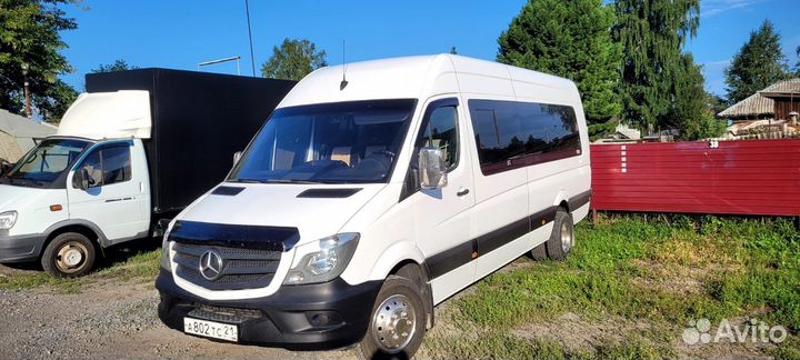 Перевозка пассажиров