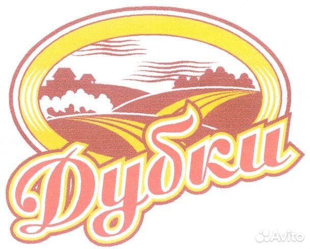 Водитель- экспедитор на газель В