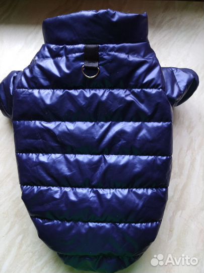 Одежда для собак