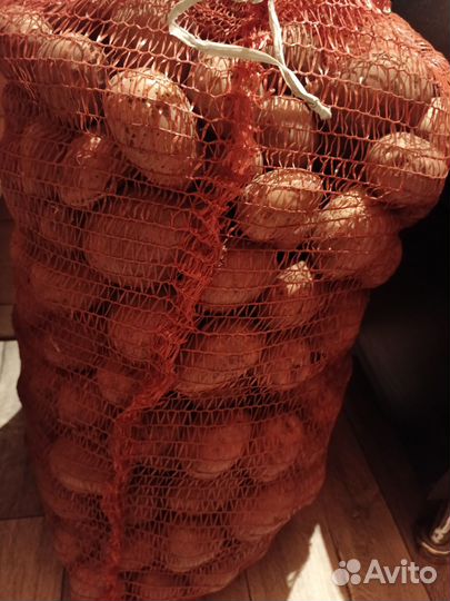 Продам картошку