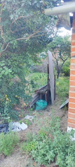 Дом 56,6 м² на участке 20 сот.