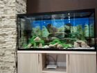 Новый аквариум 500 литров, стекло 10 мм