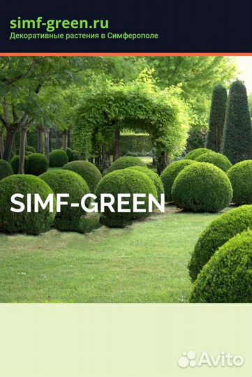 Декоративные растения