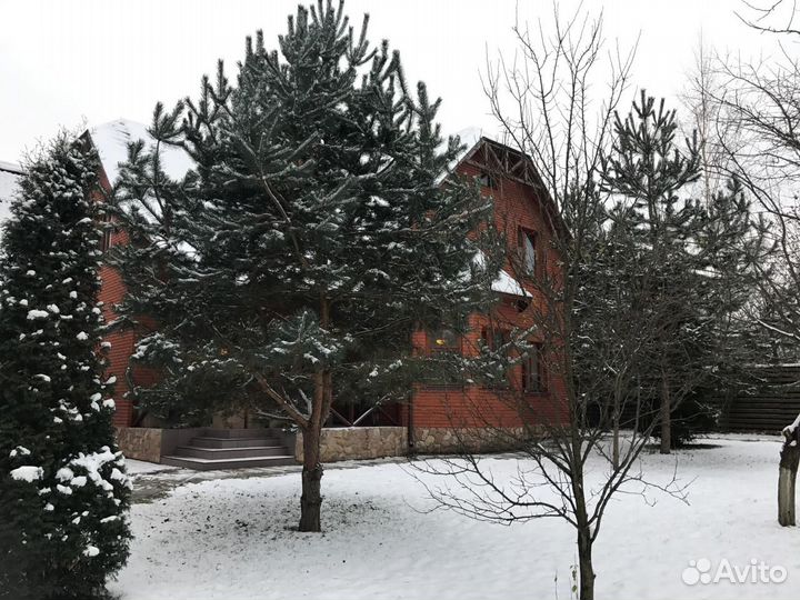 Передержка собак в частном доме