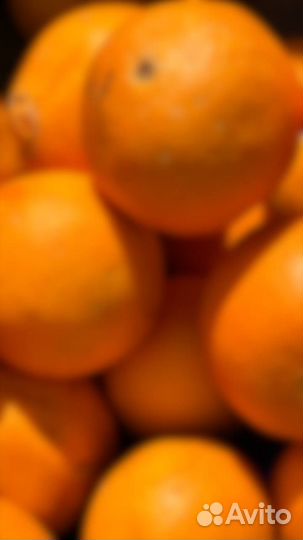 Абхазия туры