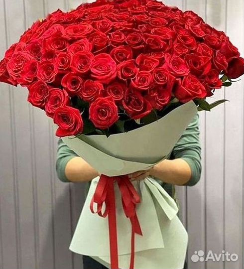 Розы Высокие 150см 160см 170см 180см 190см 2м