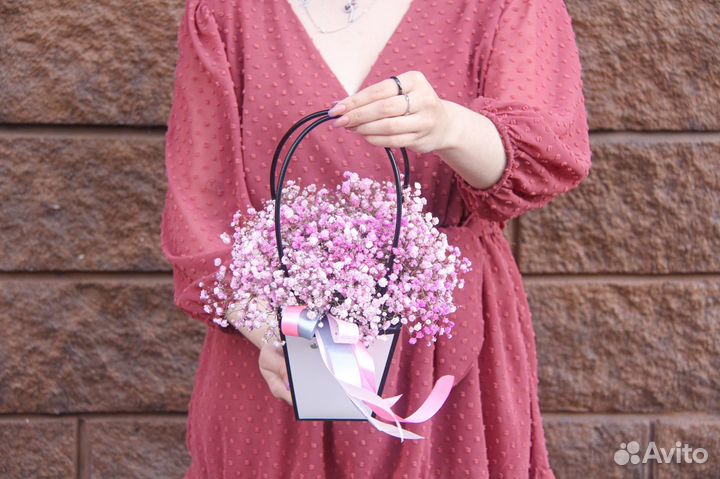 Гипсофила радужная