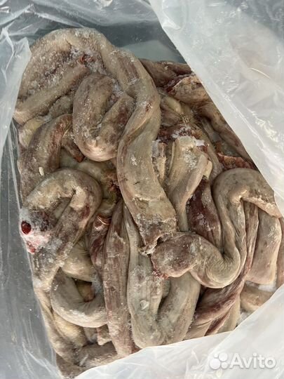 Мясо и субпродукты для собак