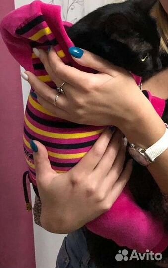 Комбинезон велюровый для кошки/собаки