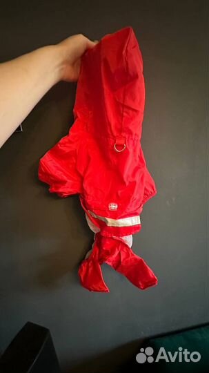 Дождевик для собак красный