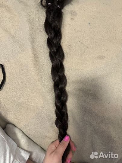 Хвост пористый кучерявый