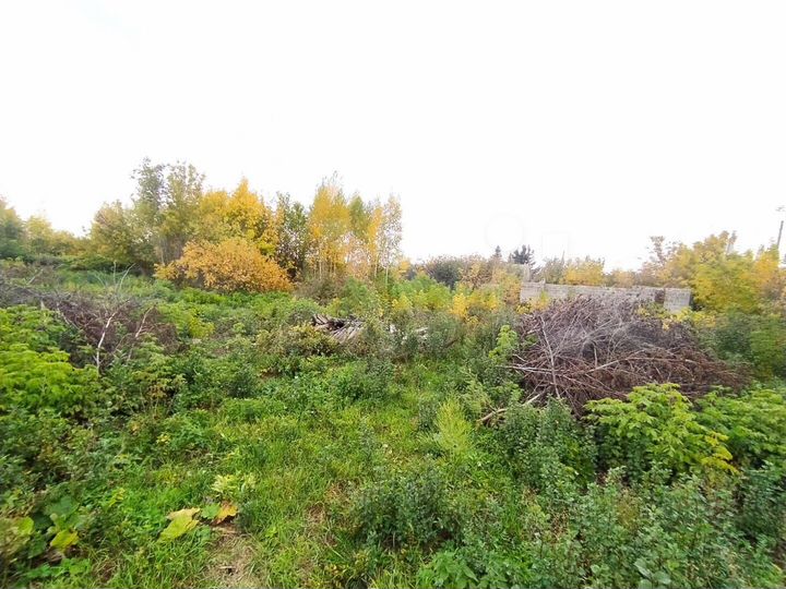 Участок 19,5 сот. (СНТ, ДНП)