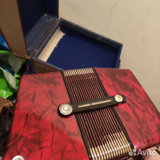 Аккордеон royalstsndart Германия